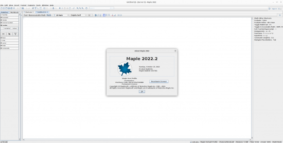 Maplesoft Maple 2022.2 LINUX (x64)
