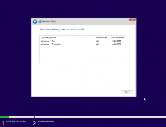 Windows 11 Pro &amp; Enterprise 21H2 Build 22000.1165 Insider Preview x64 October 2022 Pre-Activated (No TPM Required)