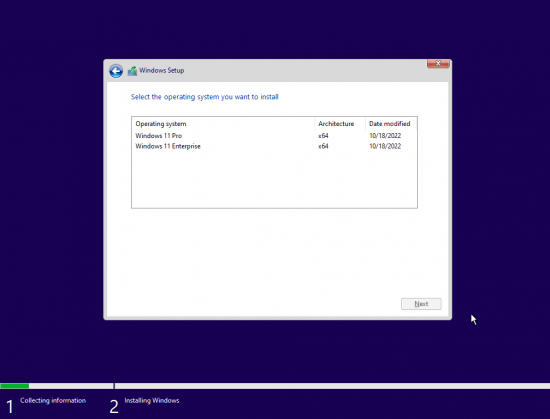 Windows 11 Pro &amp; Enterprise 21H2 Build 22000.1163 Insider Preview x64 October 2022 Pre-Activated (No TPM Required)