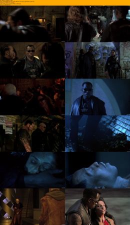 Blade Trilogy 1080p BRRip x264 AC3 DiVERSiTY