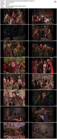 The Adventures of Robin Hood 1938 1080p BluRay x264-nikt0