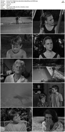 The Twilight Zone 1963 S05 1080p BluRay x265-RARBG