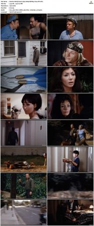 Body Fever 1969 1080p BluRay x264-OFT
