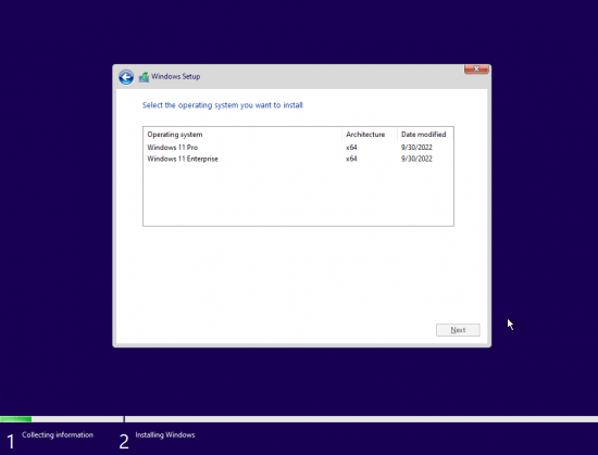 Windows 11 Pro &amp; Enterprise Insider Build 25211.1001 x64 Pre-Activated (No TPM Required) 2022