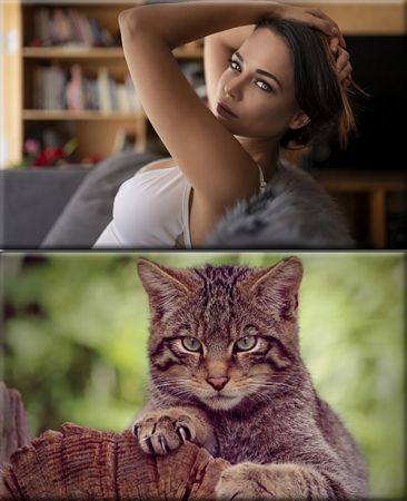 Classy Wallpapers (829)