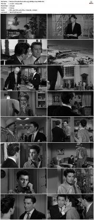 The Brothers Rico 1957 BDRip x264-ORBS