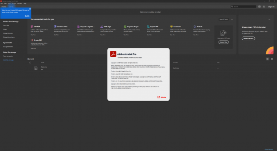Adobe Acrobat Pro DC 2022.003.20263 (x86) Multilingual