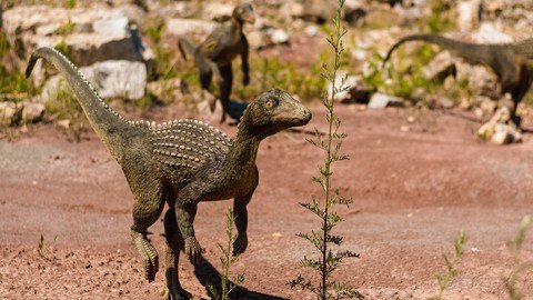 Introduction In Paleontology From Scratch - (Dinosaurs)