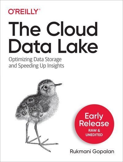 The Cloud Data Lake (Fifth Early Release)