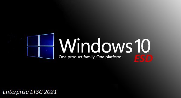 Windows 10 x64 21H2 Build 19044.2251 IoT Enterprise LTSC 2021 en-US November 2022