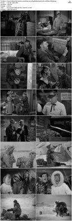 Abbott And Costello Lost In Alaska 1952 1080p BluRay H264 AC3 DD2.0 Will1869