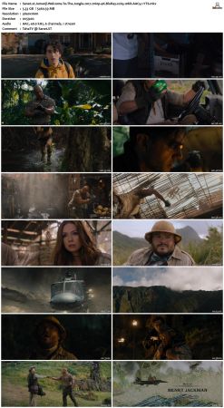 Jumanji Welcome To The Jungle 2017 2160p 4K BluRay x265 10bit AAC5.1-YTS