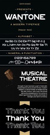 WANTONE Font