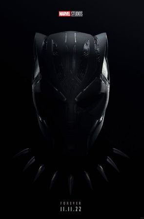 Black Panther Wakanda Forever 2022 V2 1080p HDCAM-C1NEM4