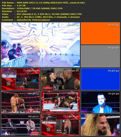 WWE RAW 2022 11 14 1080p WEB h264-HEEL