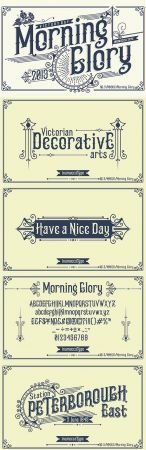Morning Glory