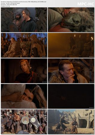 The Warrior and the Sorceress 1984 1080p BluRay x265-RARBG