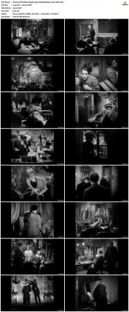 The Blue Angel 1930 1080p BluRay x264-nikt0