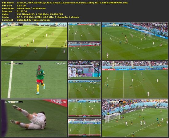 FIFA World Cup 2022 Group G Cameroon Vs Serbia 1080p HDTV H264-DARKSPORT