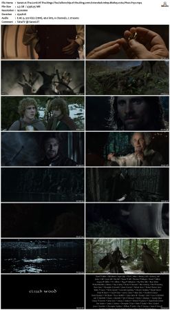 The Lord Of The Rings The Fellowship of the Ring 2001 Extended 1080p BluRay x264 Phun Psyz