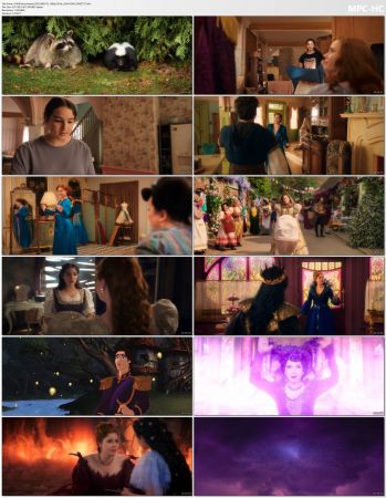 Disenchanted 2022 WEB-DL 1080p DUAL x264-HDM