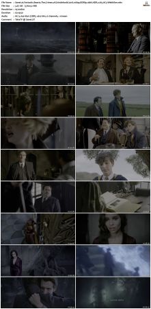 Fantastic Beasts The Crimes of Grindelwald 2018 1080p BDRip 10bit HDR x265 AC3-Webhiker