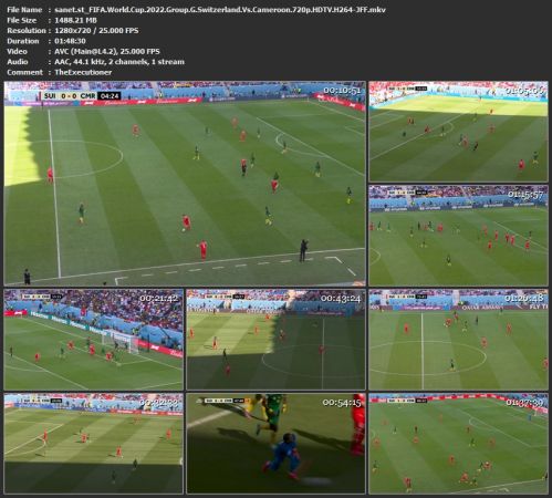 FIFA World Cup 2022 Group G Switzerland Vs Cameroon 720p HDTV H264-JFF