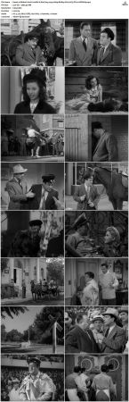 Abbott And Costello It Aint Hay 1943 1080p BluRay H264 AC3 DD2.0 Will1869