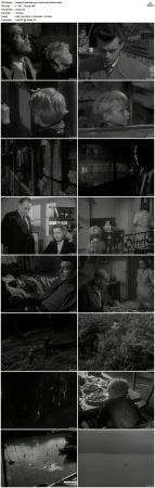 Hunted 1952 720p WE x264-Classics