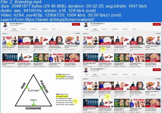 {YouTube Thumbnail}: Secrets of Top YouTube Channels