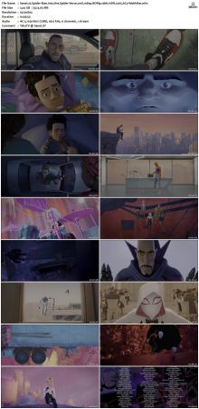 Spider-Man Into the Spider-Verse 2018 1080p BDRip 10bit HDR x265 AC3-Webhiker