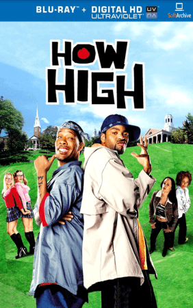 How High 2001 1080p BDRip x265 10bit AC3 5.1 JBENT TAoE