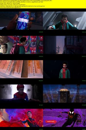 Spider-Man Into the Spider-Verse 2018 720p WEBRip x264-GalaxyRG
