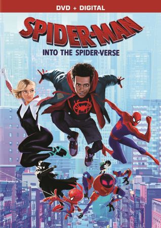Spider-Man Into the Spider-Verse 2018 720p WEBRip x264-GalaxyRG