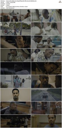Moonlight 2016 1080p BDRip 10bit HDR x265 AC3-Webhiker