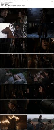 BloodRayne Deliverance 2007 1080p BluRay x264-nikt0