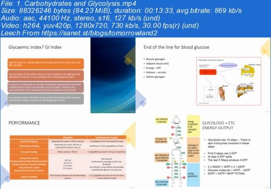Nutrition and Energy systems