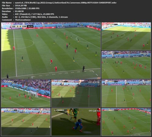 FIFA World Cup 2022 Group G Switzerland Vs Cameroon 1080p HDTV H264-DARKSPORT