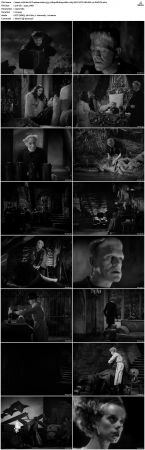 Bride Of Frankenstein 1935 1080p BluRay 10bit x265 HEVC DTS-HD MA 2.0-PHOCiS