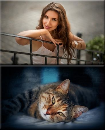 Classy Wallpapers (832)