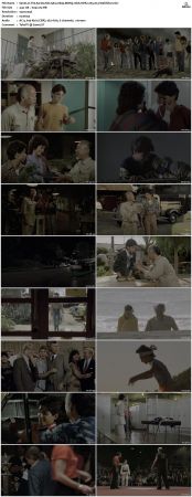 The Karate Kid 1984 1080p BDRip 10bit HDR x265 AC3-Webhiker