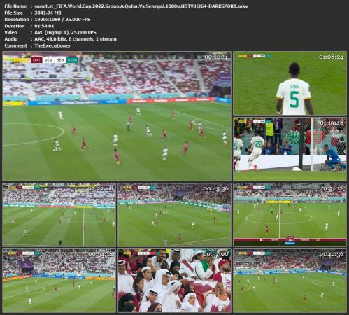 FIFA World Cup 2022 Group A Qatar Vs Senegal 1080p HDTV H264-DARKSPORT