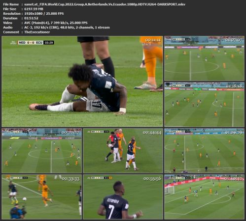 FIFA World Cup 2022 Group A Netherlands Vs Ecuador 1080p HDTV H264-DARKSPORT