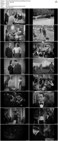 The Rules of the Game 1939 720p BluRay x264-x0r