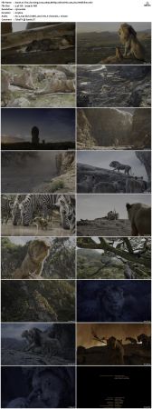 The Lion King 2019 1080p BDRip 10bit HDR x265 AC3-Webhiker