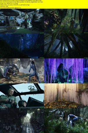 Avatar 2009 EXTENDED 720p BluRay x264-NeZu