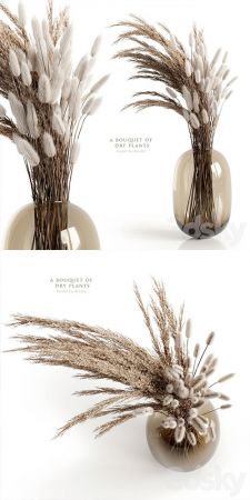 A bouquet of dry plants