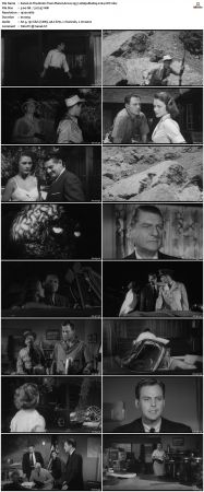 The Brain from Planet Arous 1957 1080p BluRay x264-OFT