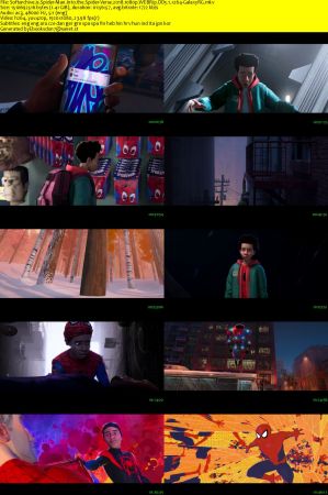 Spider-Man Into the Spider-Verse 2018 1080p WEBRip DD5.1 x264-GalaxyRG
