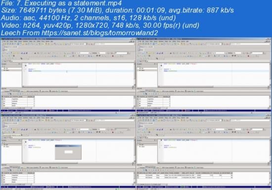 TOAD: The Database Management Toolset used by Professionals
